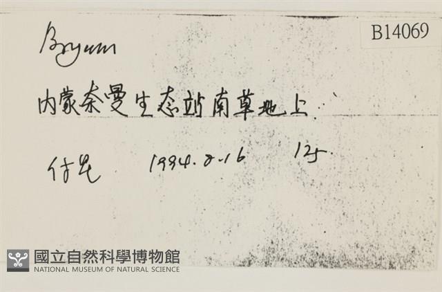 登錄號:B00014069藏品圖，第2張