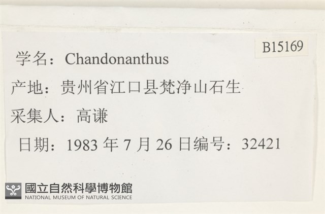 登錄號:B00015169藏品圖，第2張