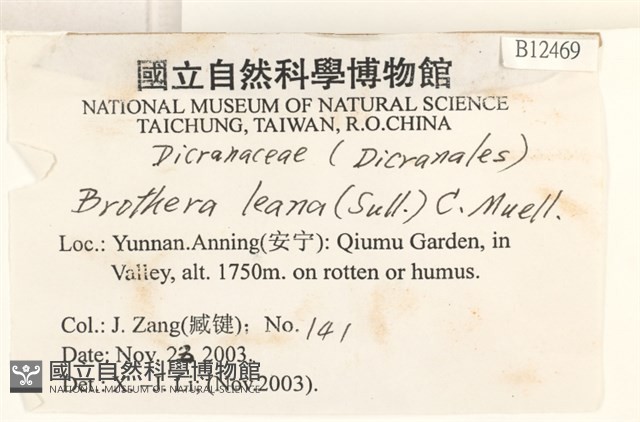 登錄號:B00012469藏品圖，第2張