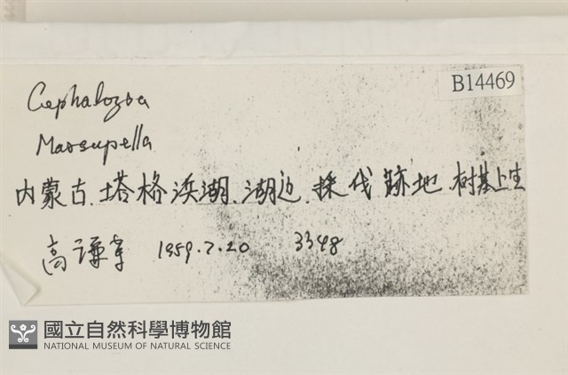 登錄號:B00014469藏品圖，第2張