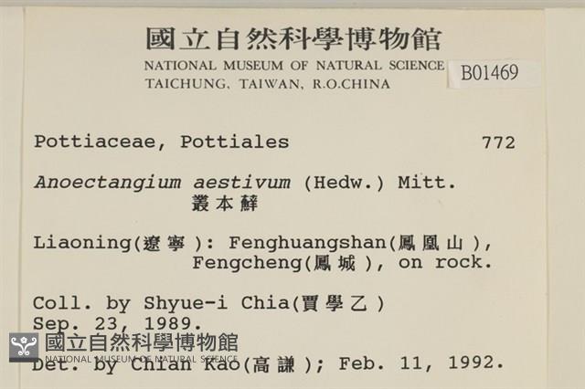 登錄號:B00001469藏品圖，第2張