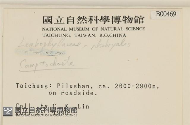 登錄號:B00000469藏品圖，第2張