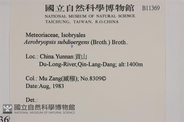 大灰氣蘚藏品圖，第2張