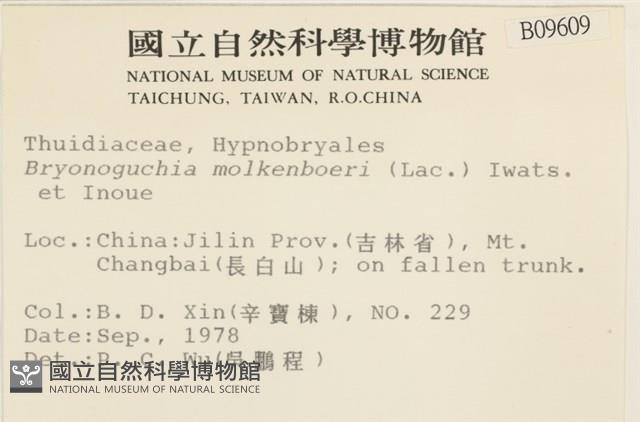 毛羽蘚藏品圖，第2張