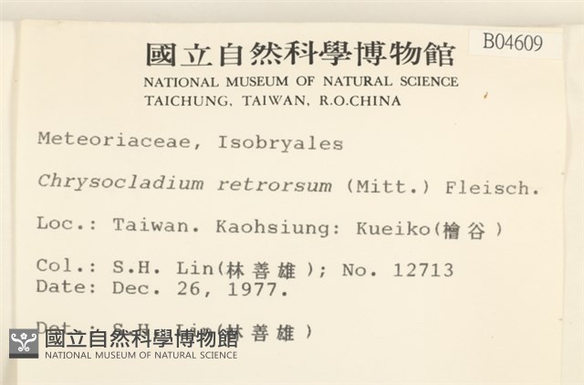 登錄號:B00004609藏品圖，第2張