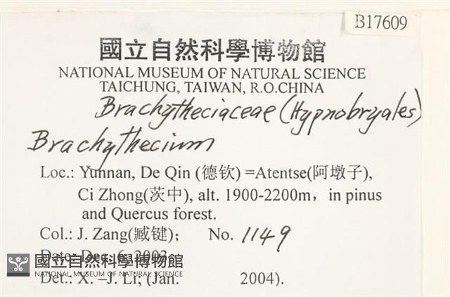 登錄號:B00017609藏品圖，第2張