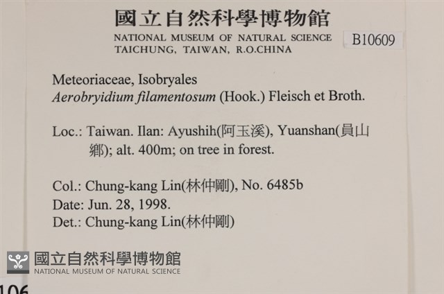 毛扭蘚藏品圖，第2張