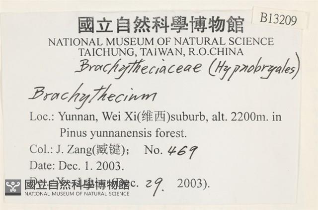 登錄號:B00013209藏品圖，第2張