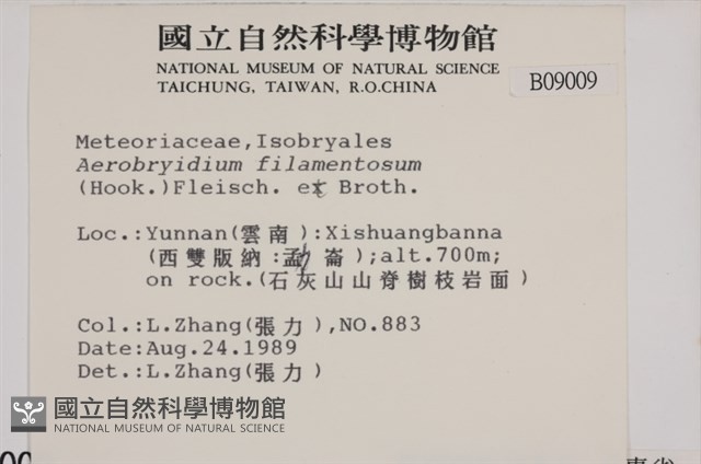 毛扭蘚藏品圖，第2張