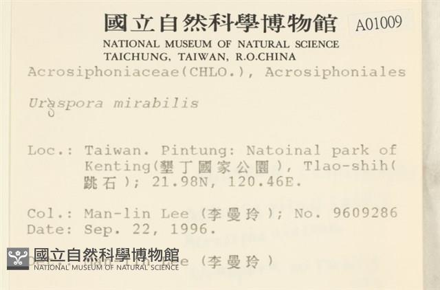 登錄號:A00001009藏品圖，第2張