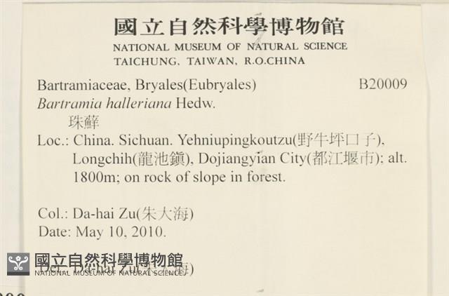 登錄號:B00020009藏品圖，第2張