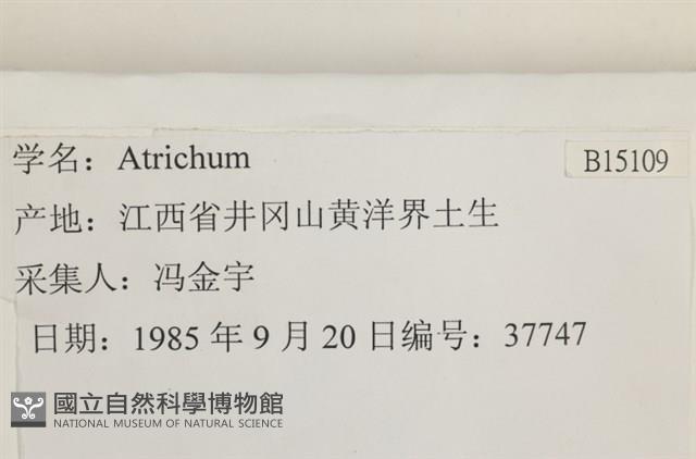 登錄號:B00015109藏品圖，第2張