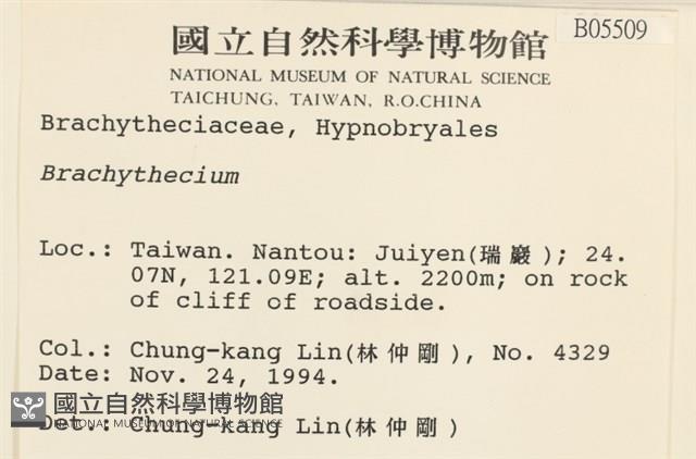 登錄號:B00005509藏品圖，第2張