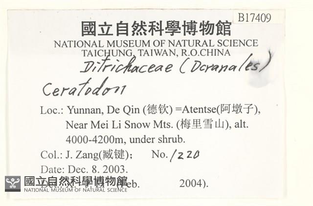 登錄號:B00017409藏品圖，第2張