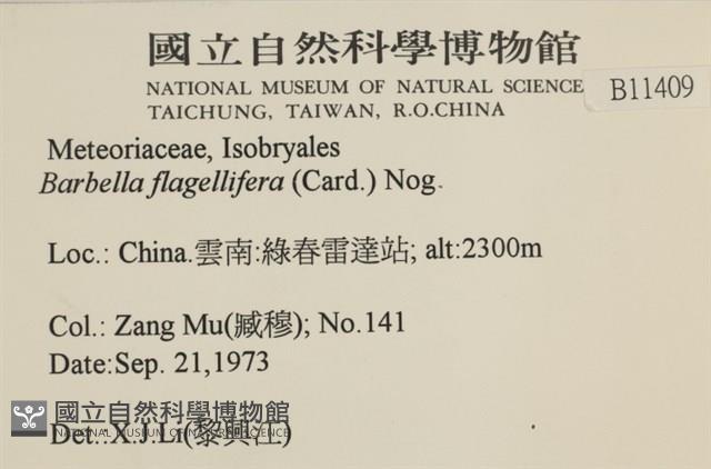 鞭枝懸蘚藏品圖，第2張