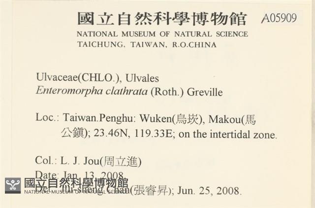 登錄號:A00005909藏品圖，第2張