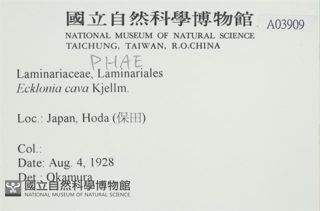 登錄號:A00003909藏品圖，第2張