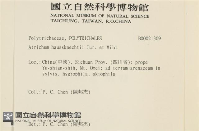 仙鶴蘚藏品圖，第2張