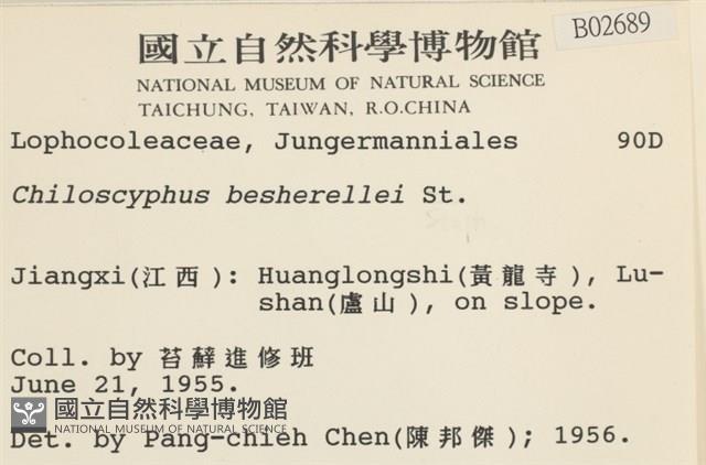 登錄號:B00002689藏品圖，第2張