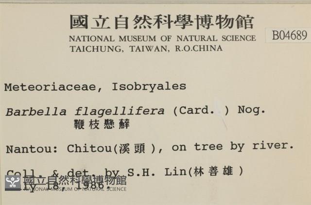 鞭枝懸蘚藏品圖，第2張