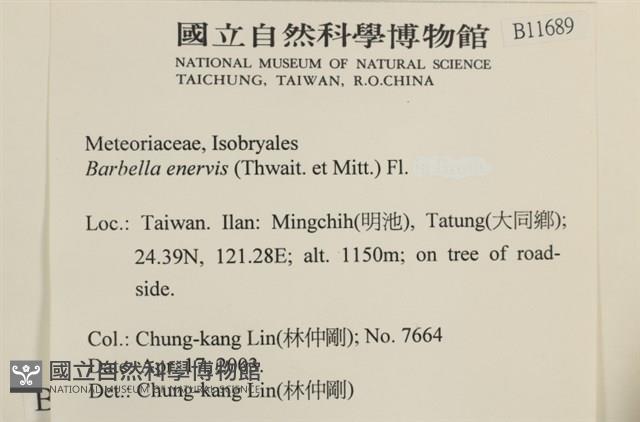 登錄號:B00011689藏品圖，第2張