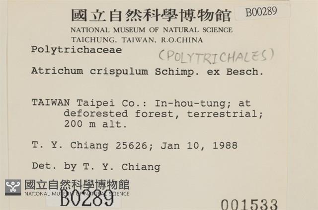 卷葉仙鶴蘚藏品圖，第2張