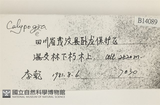 登錄號:B00014089藏品圖，第2張