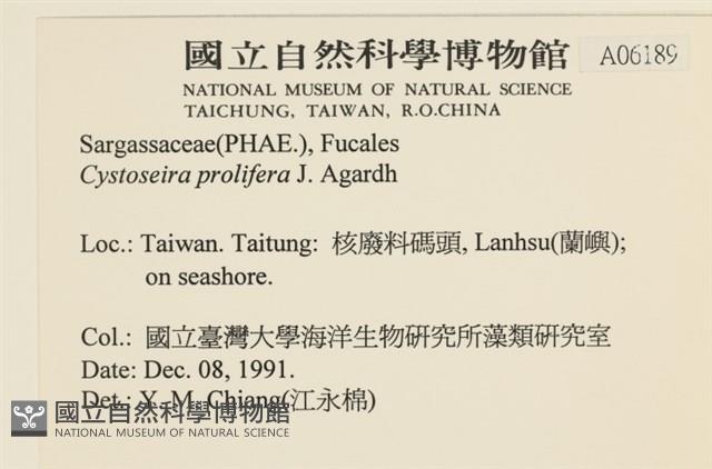 登錄號:A00006189藏品圖，第2張