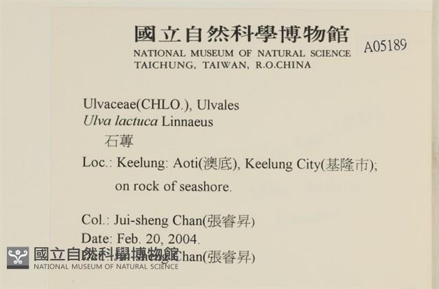 大石蓴, 石蓴藏品圖，第2張