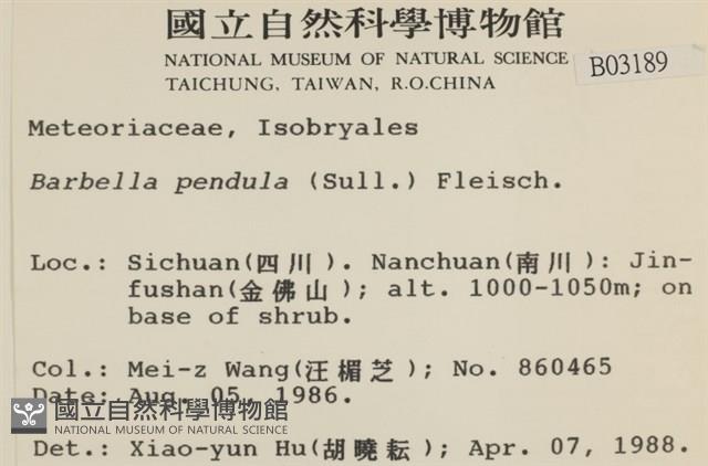 多疣懸蘚藏品圖，第2張