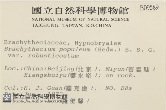 登錄號:B00009589藏品圖，第2張