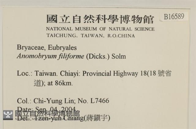 登錄號:B00016589藏品圖，第2張