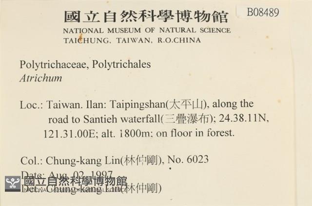 登錄號:B00008489藏品圖，第2張