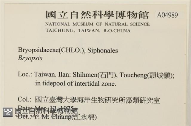 Accession Number:A00004989 Collection Image, Figure 2, Total 4 Figures