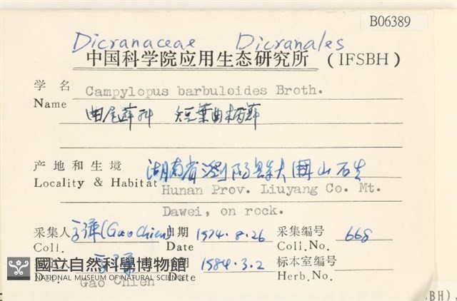 短葉曲柄蘚藏品圖，第2張