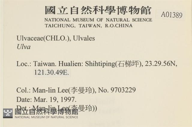 登錄號:A00001389藏品圖，第2張
