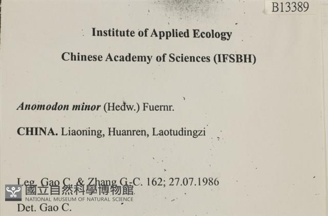 小牛舌蘚藏品圖，第2張