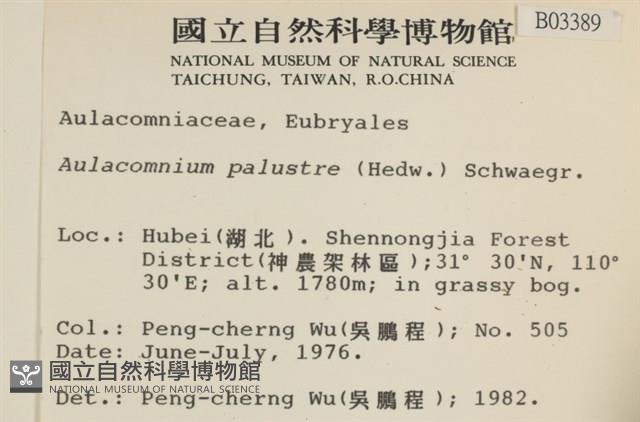 沼澤皺蒴蘚藏品圖，第2張