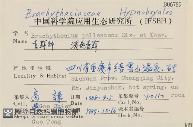 淡色青蘚藏品圖，第2張