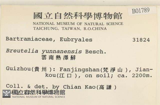 雲南熱澤蘚藏品圖，第2張