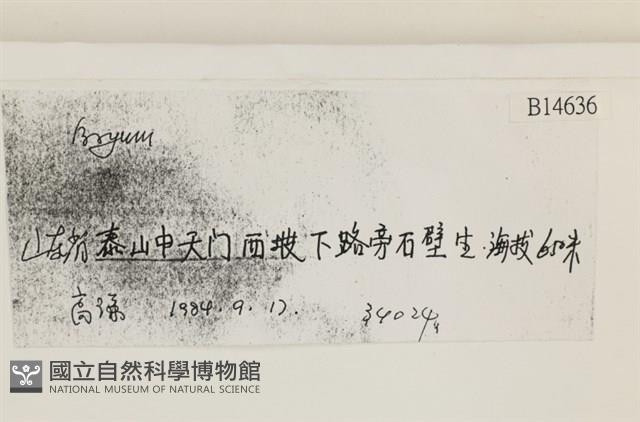 登錄號:B00014636藏品圖，第2張