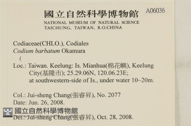 登錄號:A00006036藏品圖，第2張
