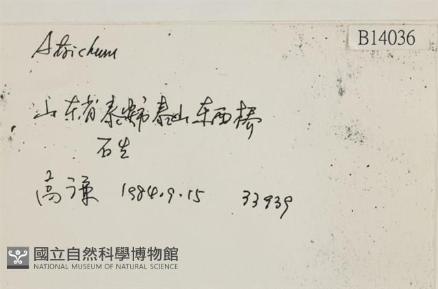 登錄號:B00014036藏品圖，第2張