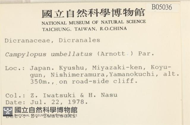 登錄號:B00005036藏品圖，第2張