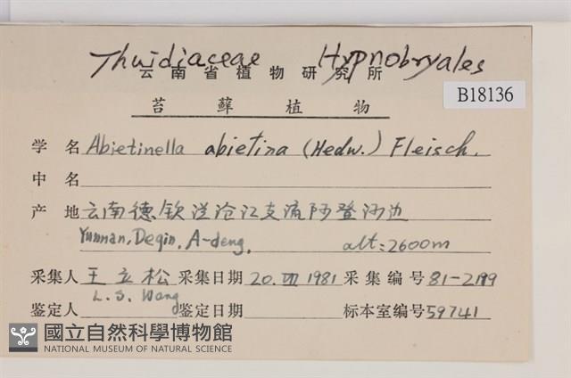 山羽蘚藏品圖，第2張