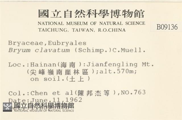 登錄號:B00009136藏品圖，第2張