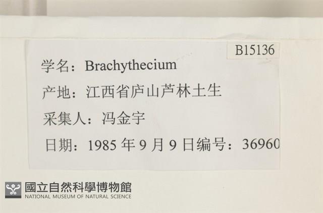 登錄號:B00015136藏品圖，第2張