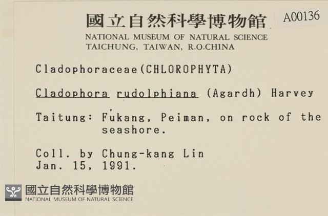 登錄號:A00000136藏品圖，第2張