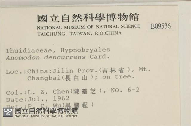 登錄號:B00009536藏品圖，第2張