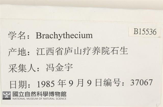 登錄號:B00015536藏品圖，第2張